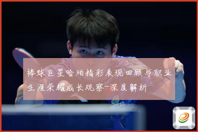 棒球巨星哈珀精彩表现回顾与职业生涯荣耀成长观察-深度解析
